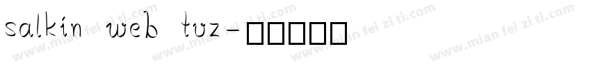 salkin web tvz字体转换